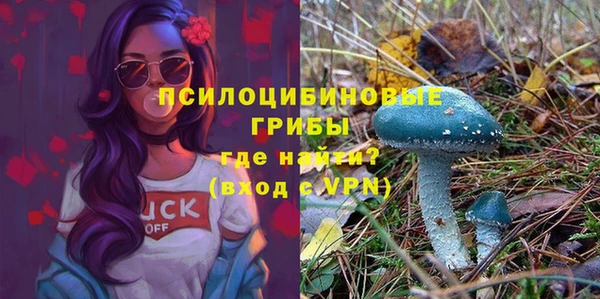 крисы Богородск