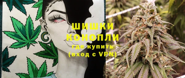 винт Бородино