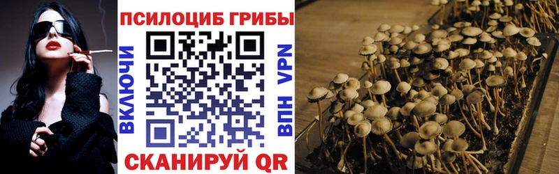 omg ссылки Волгореченск Галлюциногенные грибы мухоморы купить наркотик