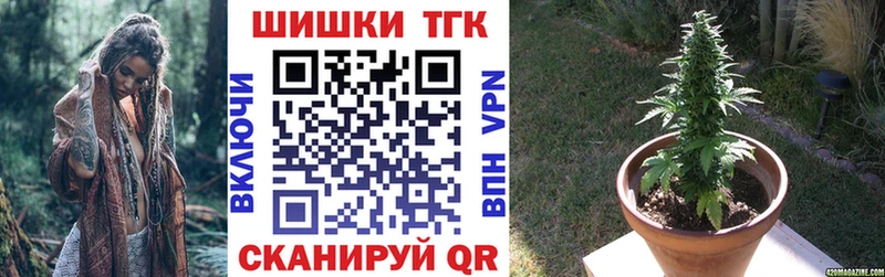 Конопля конопля мориарти клад Волгореченск